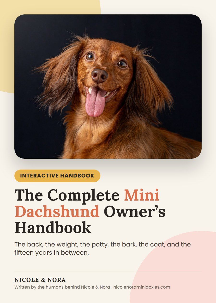 The Complete Mini Dachshund Owner’s Handbook cover