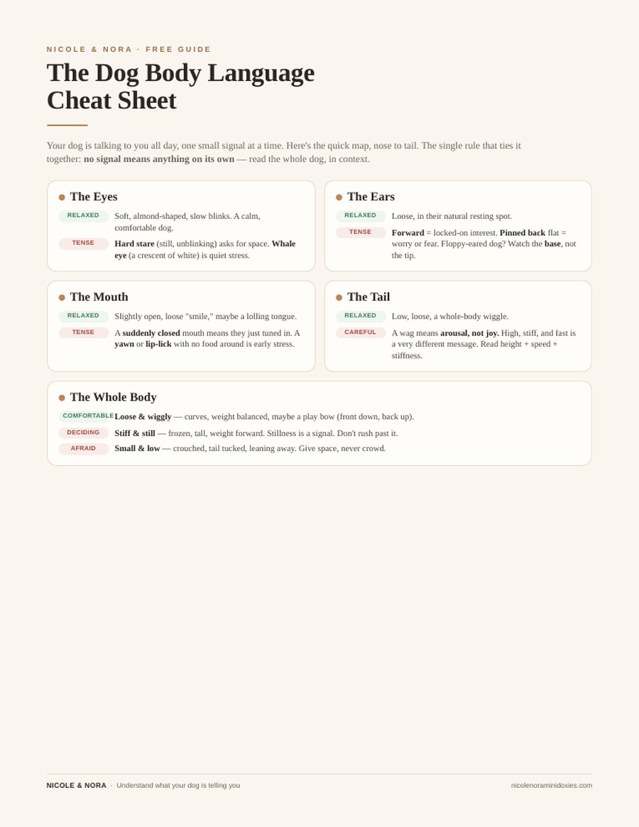 Dog body language chart showing eyes, ears, mouth, tail, and body posture signals