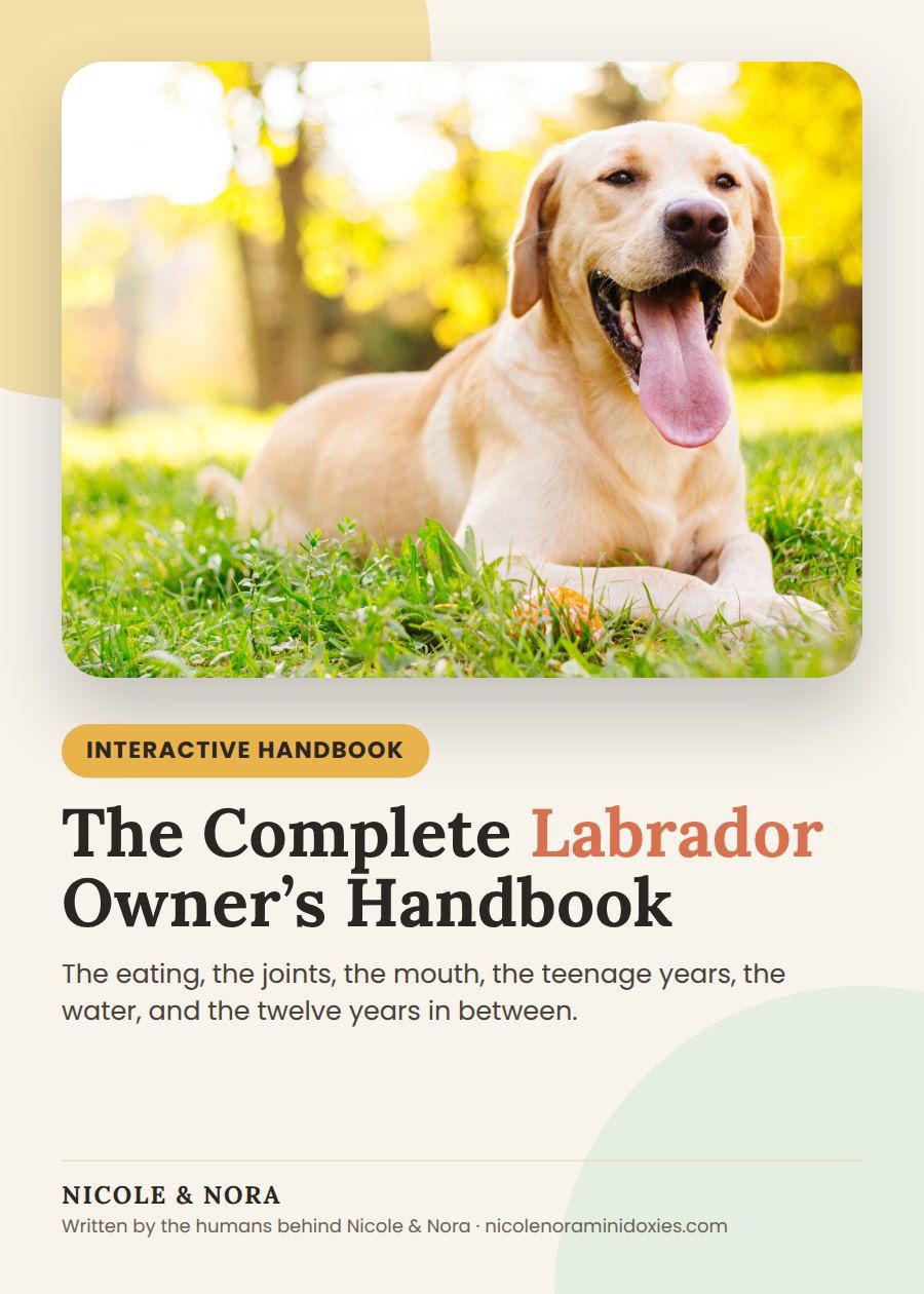 The Complete Labrador Owner’s Handbook cover