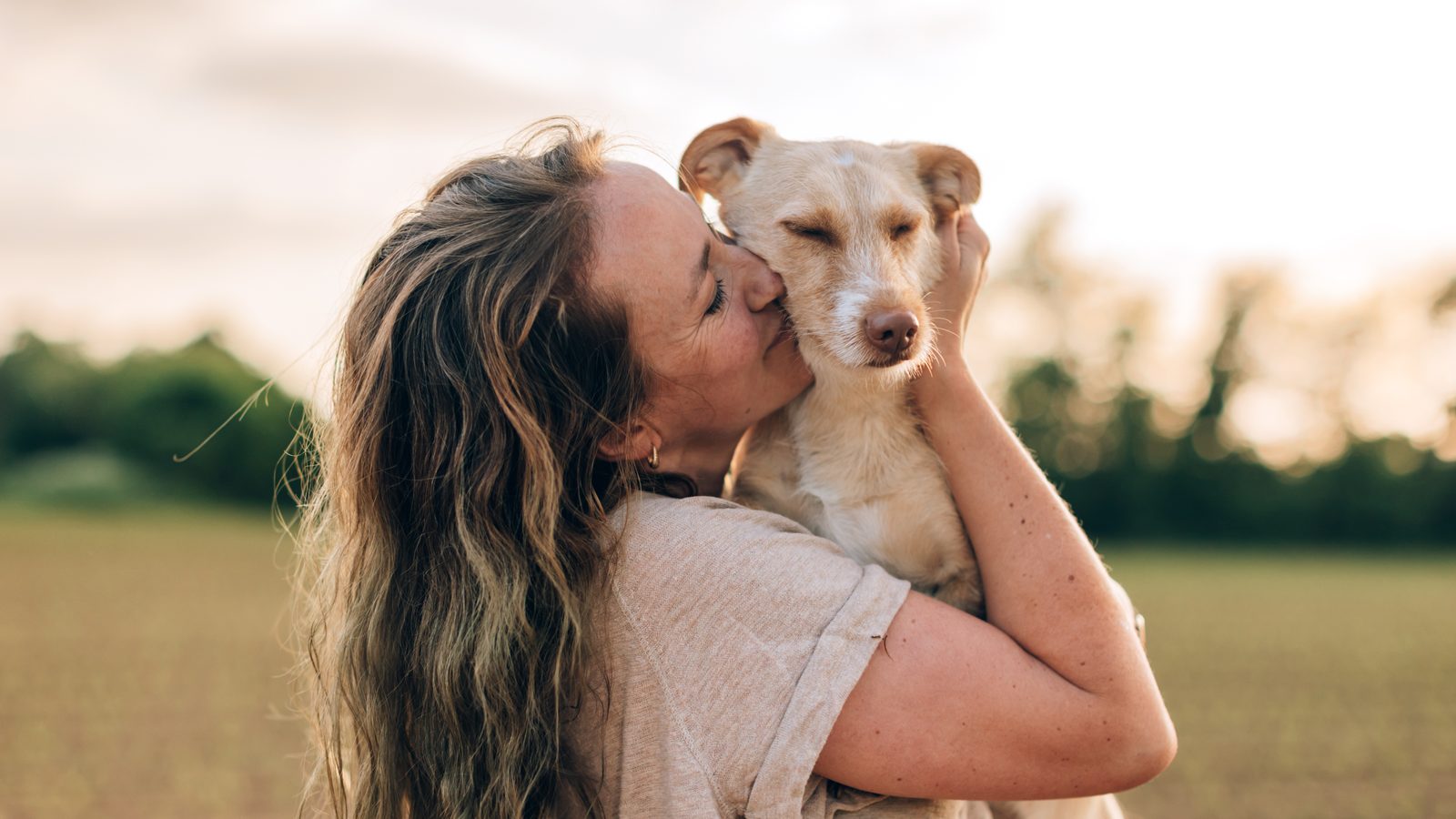 Woman hugging and kissing a rescue dog in a sunlit field