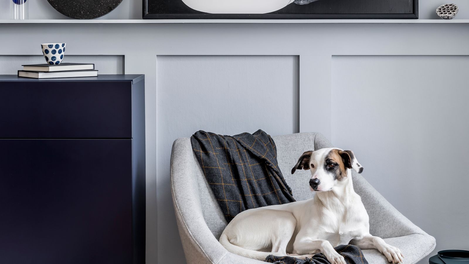 A white and brown dog lying on an armchair in a living room, with a stack of books on the cabinet beside it