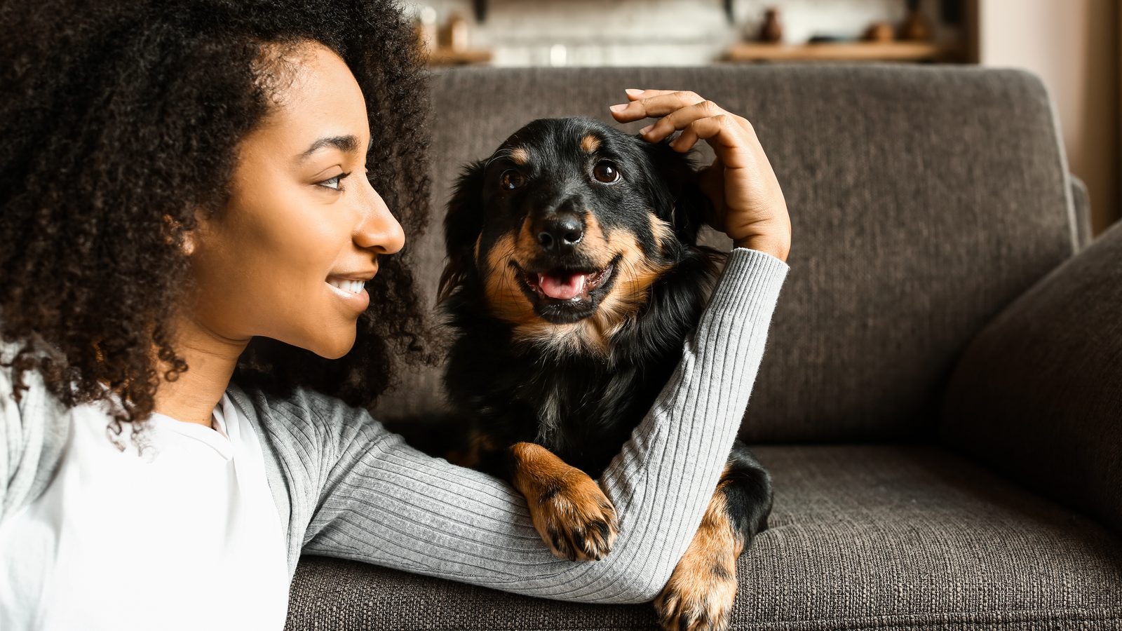 Woman cuddling her black and tan dachshund on the couch at home