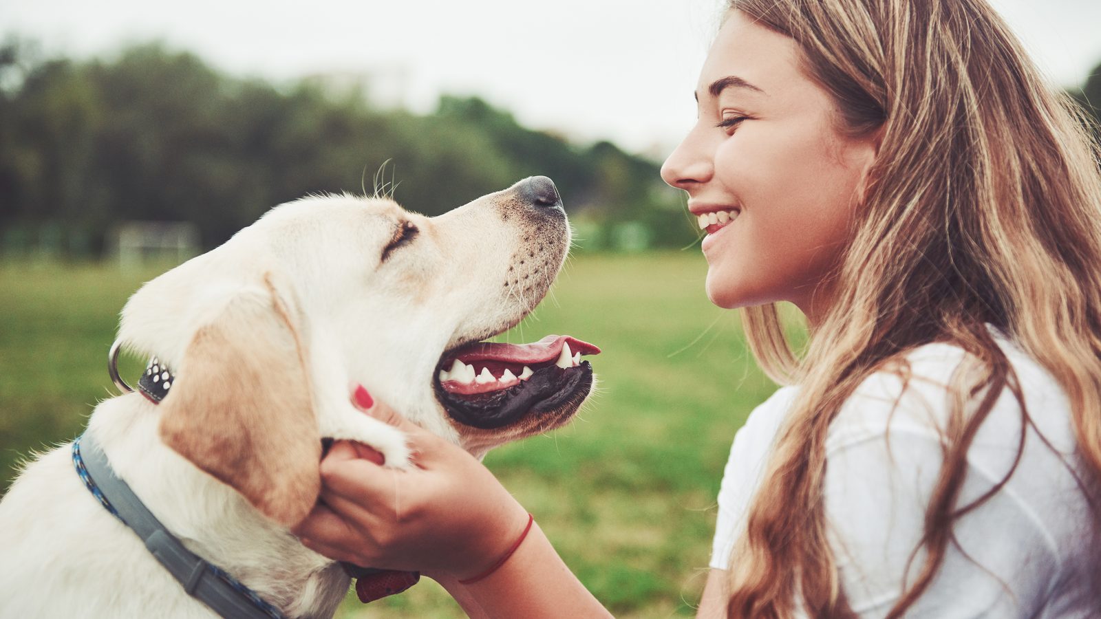Young woman and her Labrador looking closely at each other, reading one another's signals
