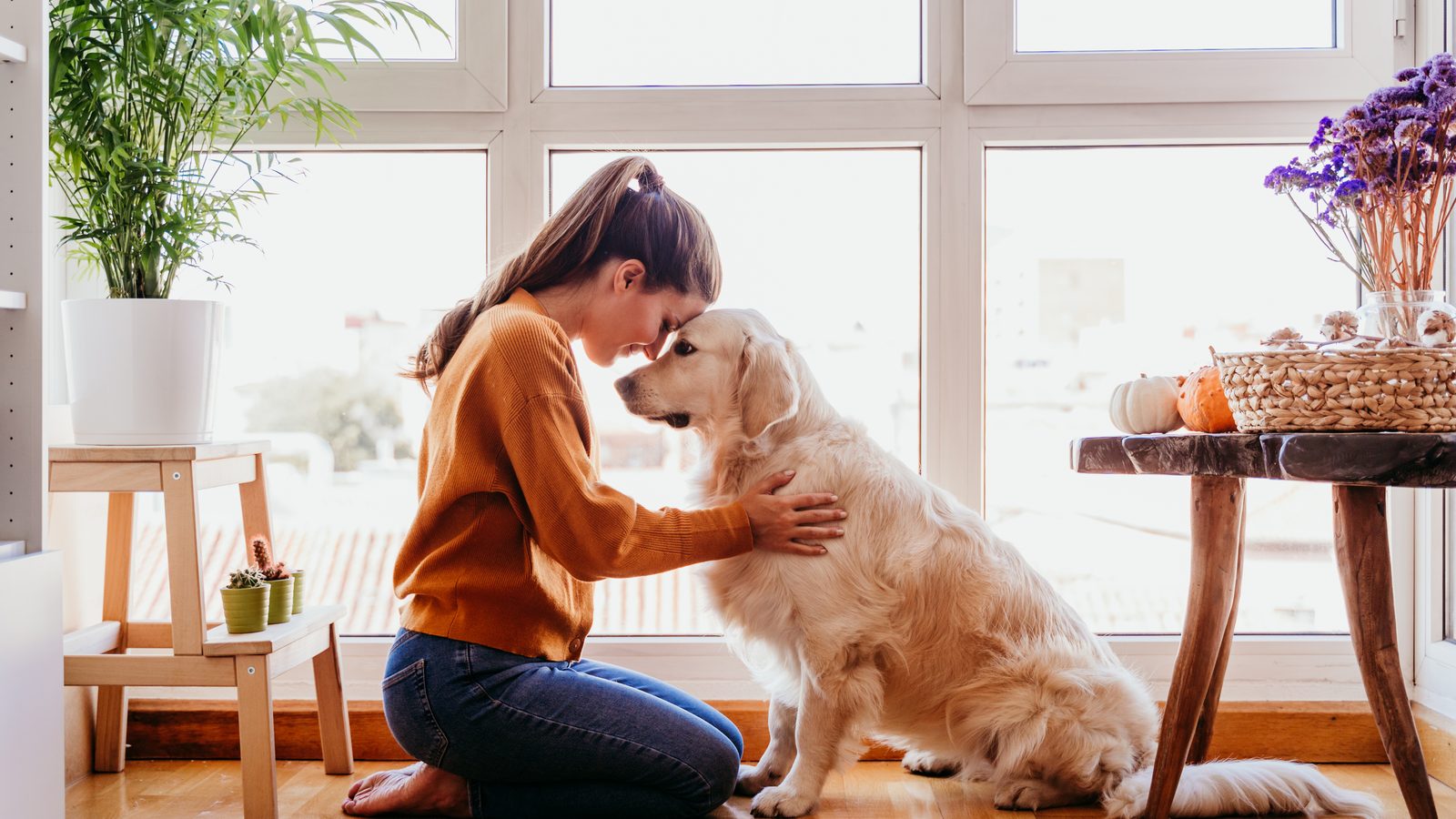 Woman kneeling nose to nose with her golden dog by a sunny window