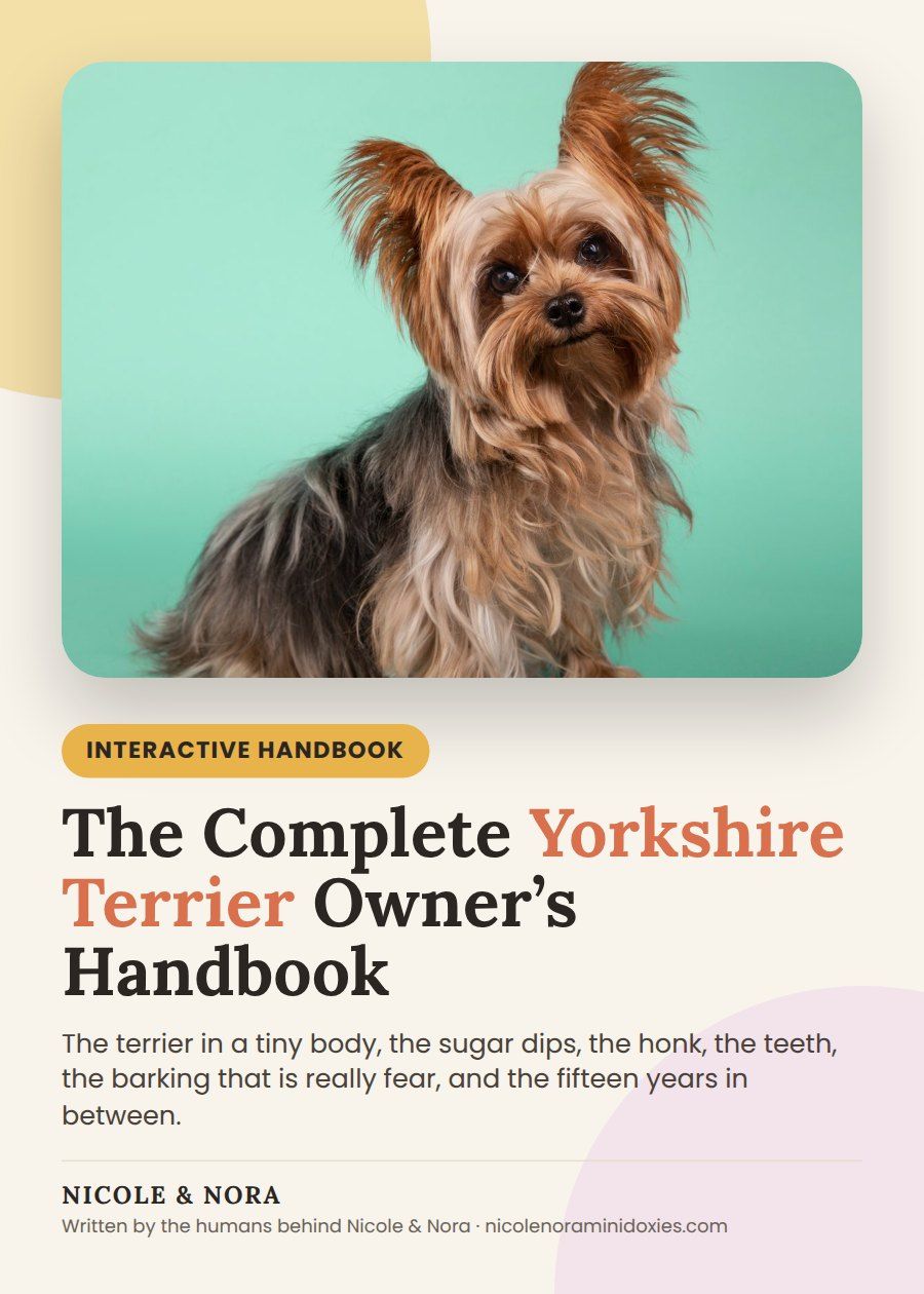 The Complete Yorkshire Terrier Owner’s Handbook cover